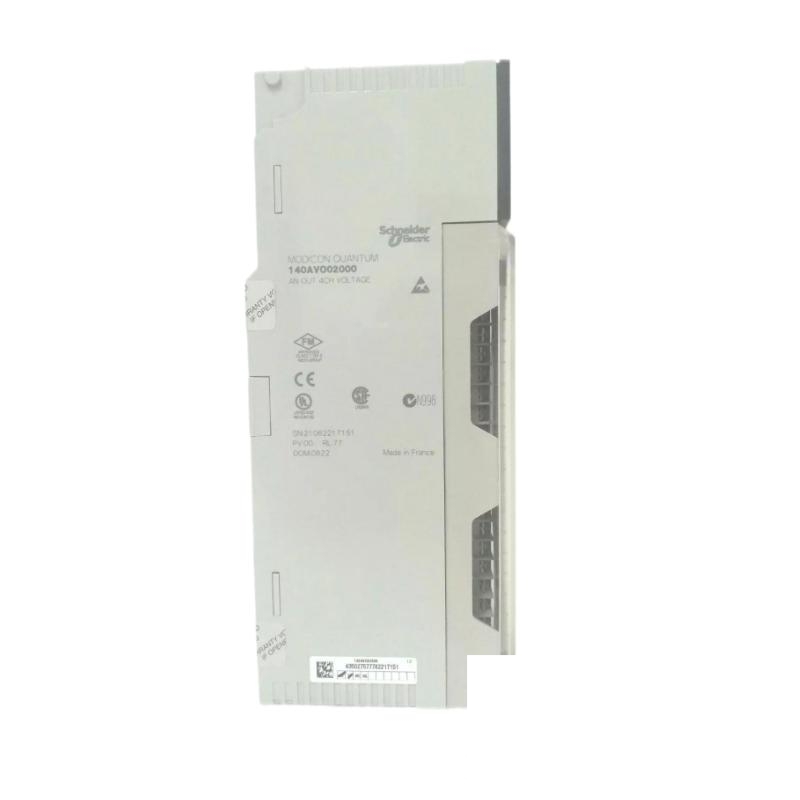 Schneider 140AVO02000 Analog Output Module Modicon Quantum Series