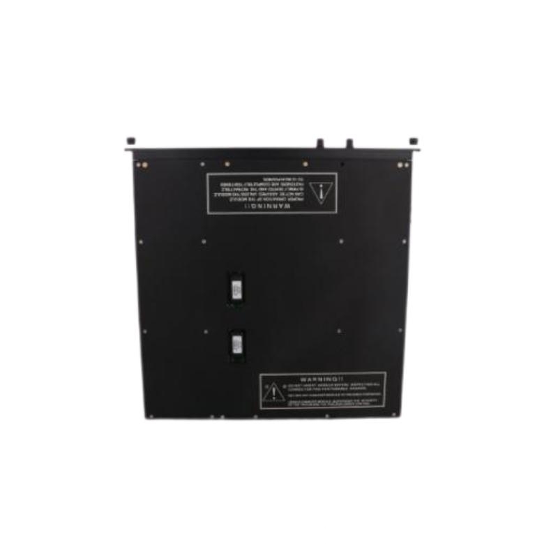 Triconex 4200 Remote Expansion Module