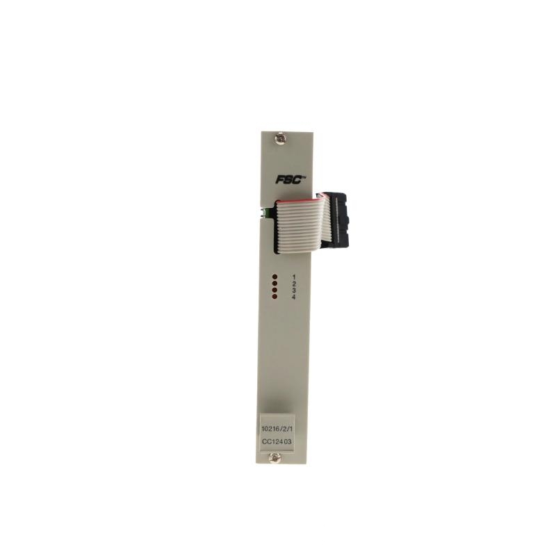 Honeywell 10216/2/1 Digital Output Module