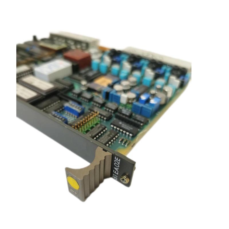 ABB 81EA02E GJR2366000R1000 Analog Input Module