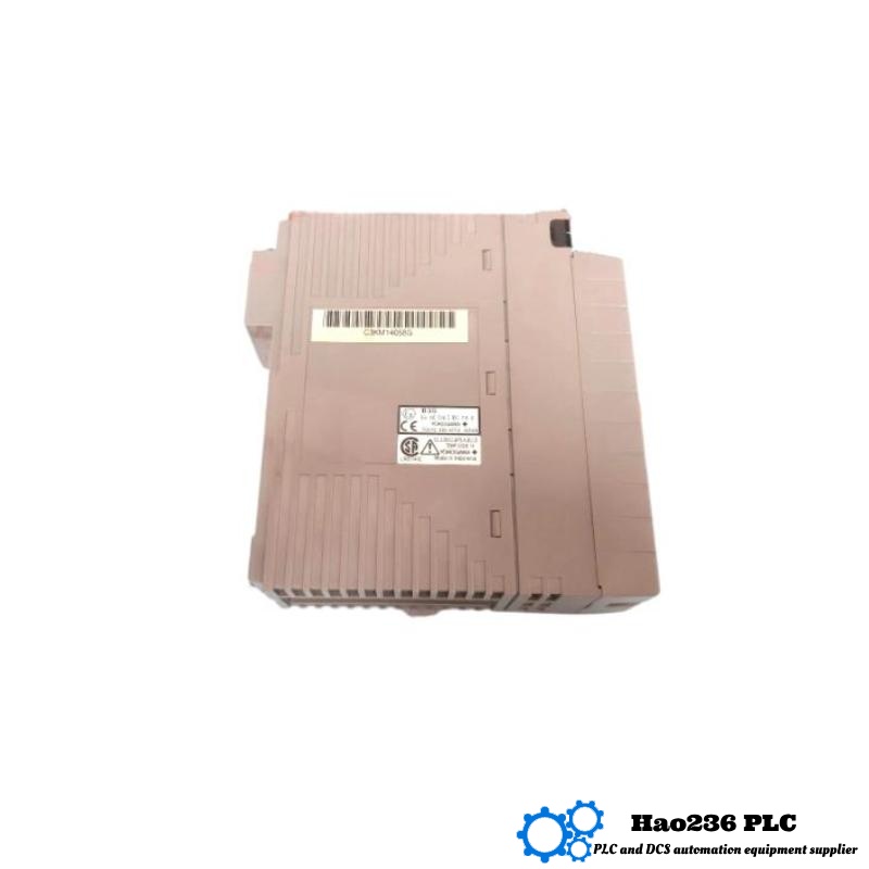 Yokogawa AAI141-S00/K400 Analog Input Module