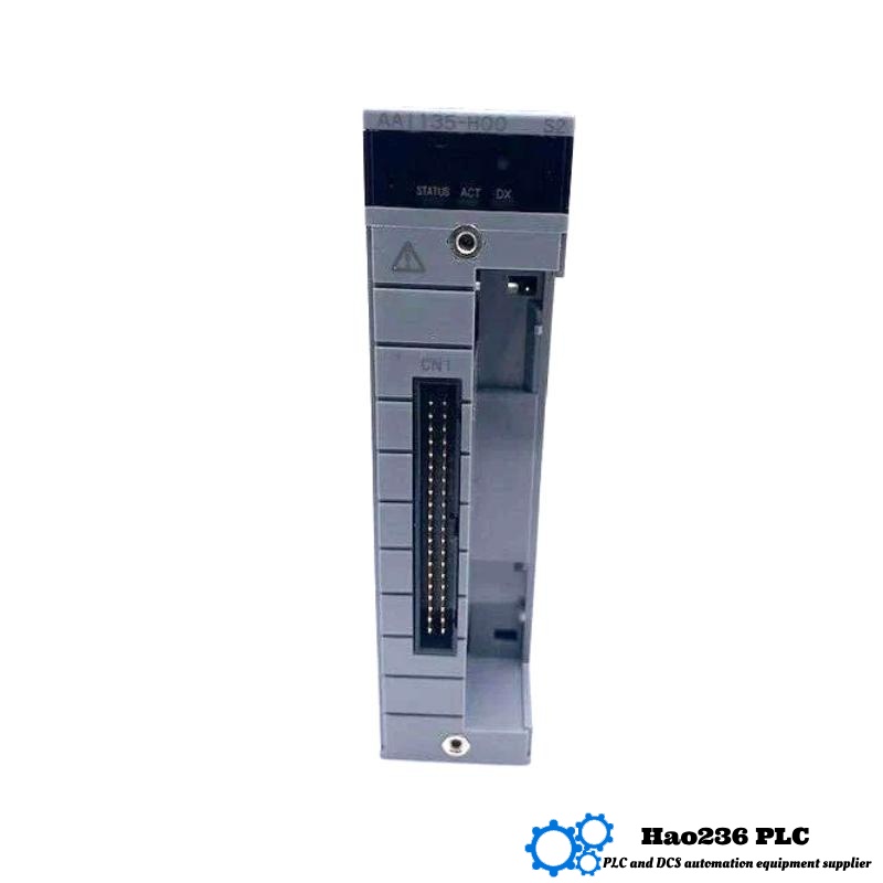 Yokogawa AAI135-H53 Analog Input Module