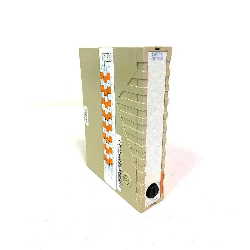 OVATION 1C31125G03 Westinghouse Emerson Digital Output Module